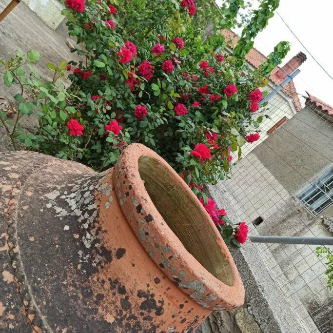 Ferienhaus Agrilia Village House-παραθεριστικό Sardes