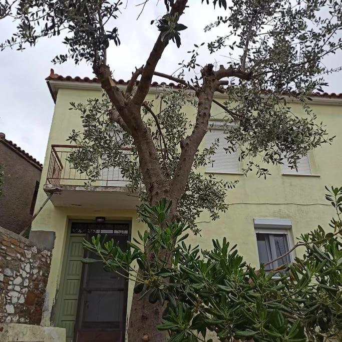 Agrilia Village House-παραθεριστικό Sardes