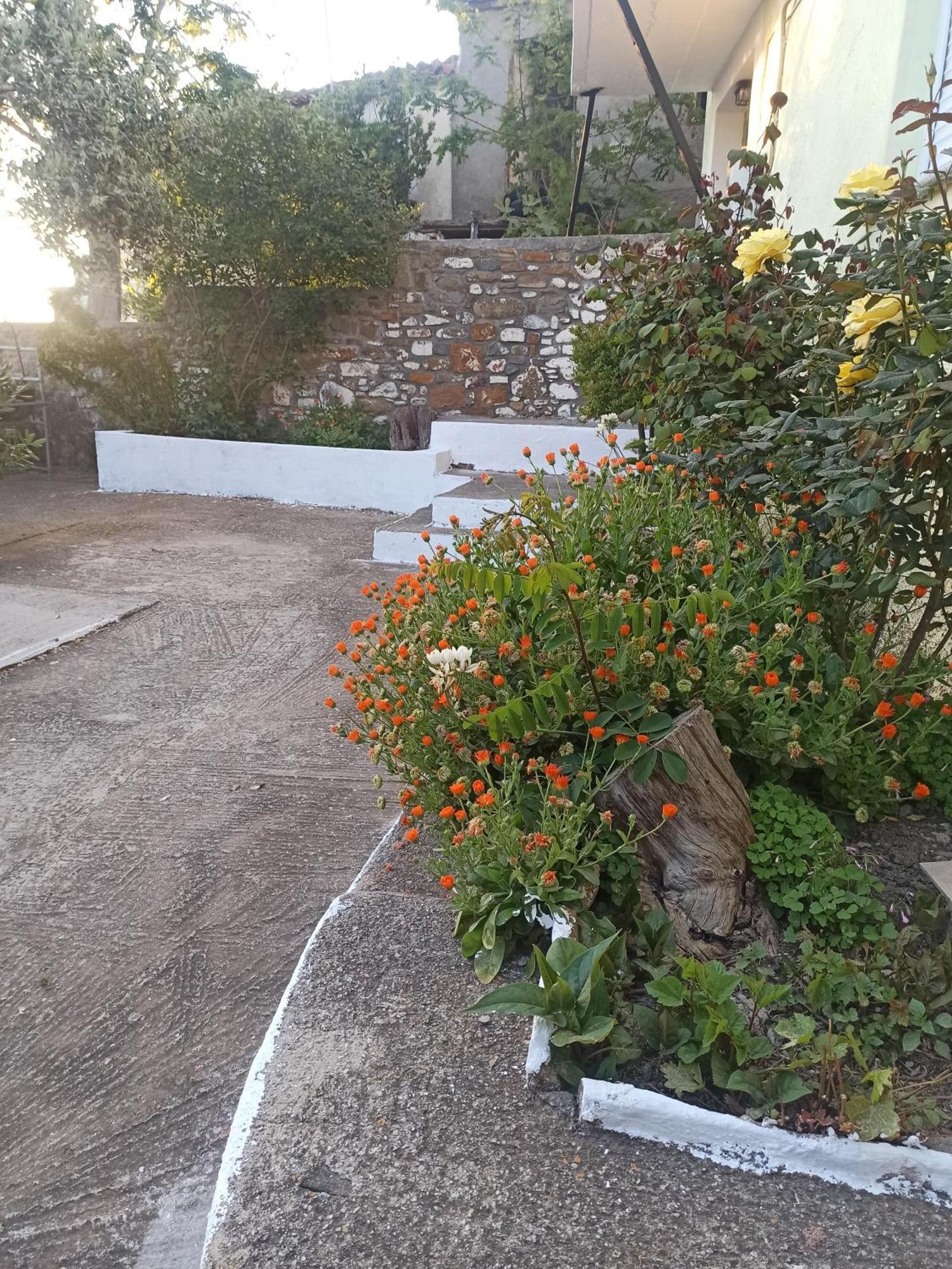 Agrilia Village House-παραθεριστικό Ferienhaus Sardes