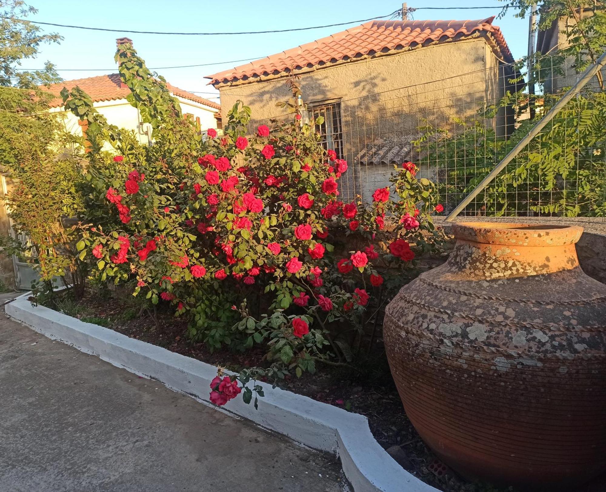 Agrilia Village House-παραθεριστικό * Sardes